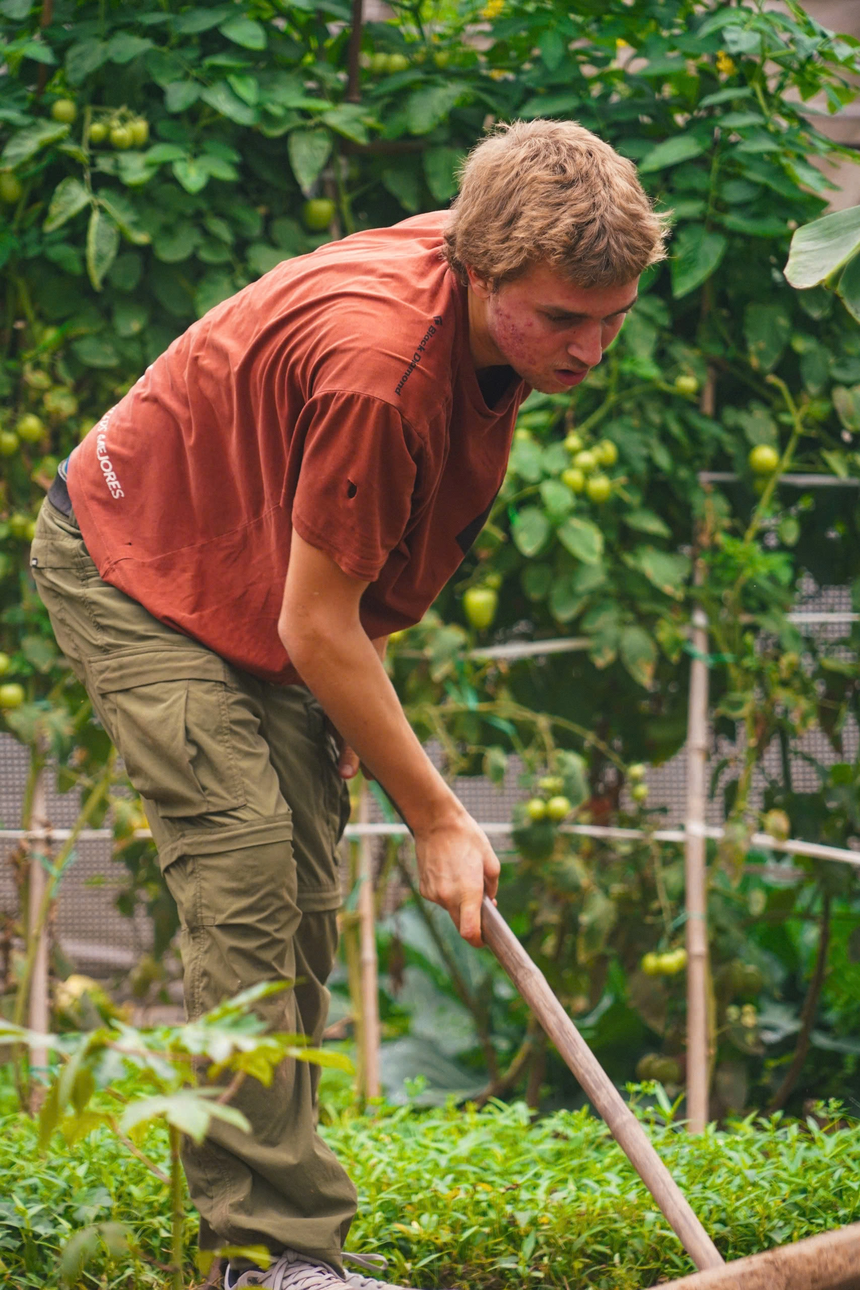 Day Tour | A Complete Day of Farming Experience | Hanoi