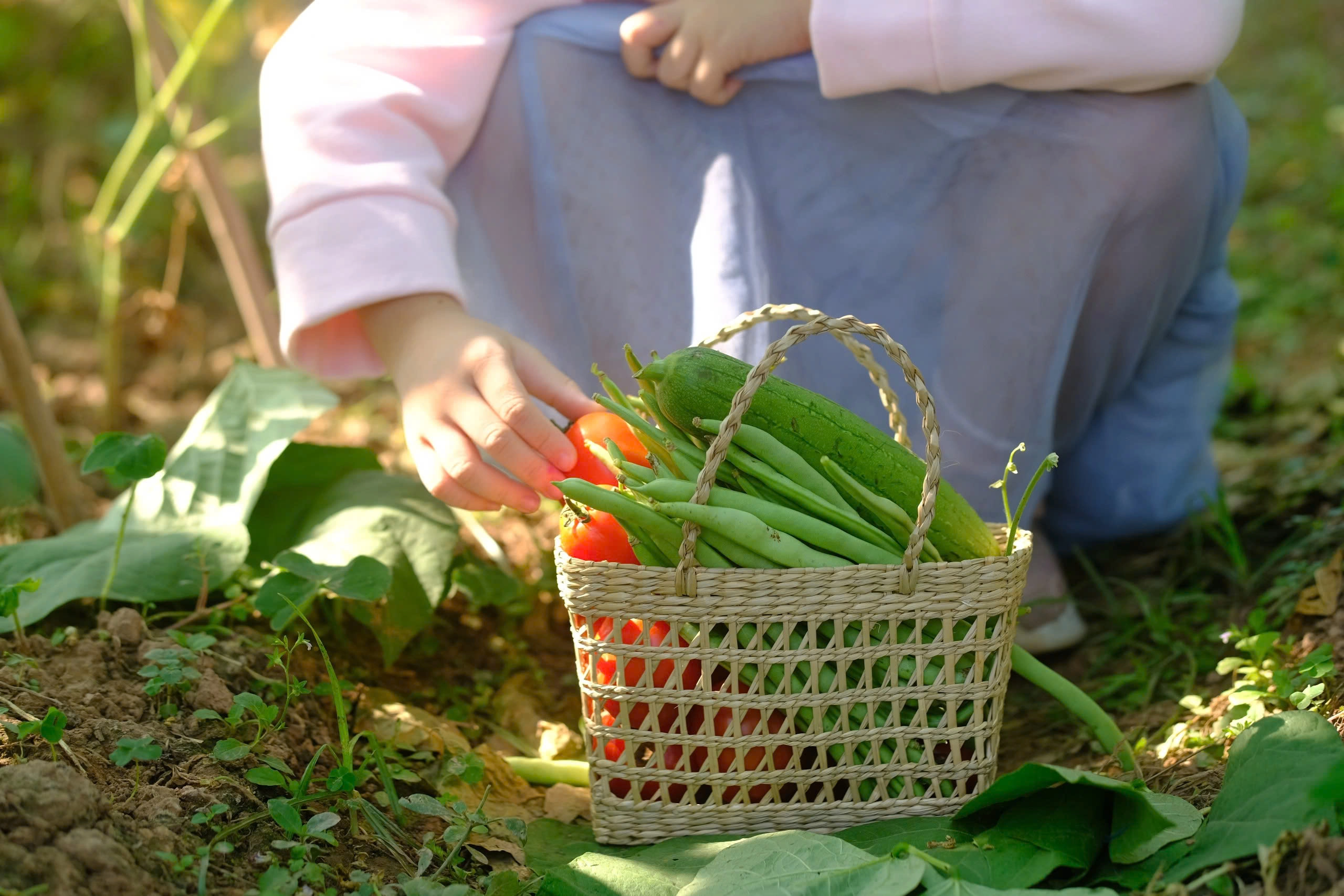 Day Tour | A Complete Day of Farming Experience | Hanoi
