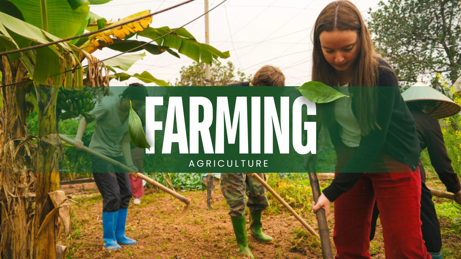 Day Tour | Farm Visit & Harvesting Experience | Hanoi