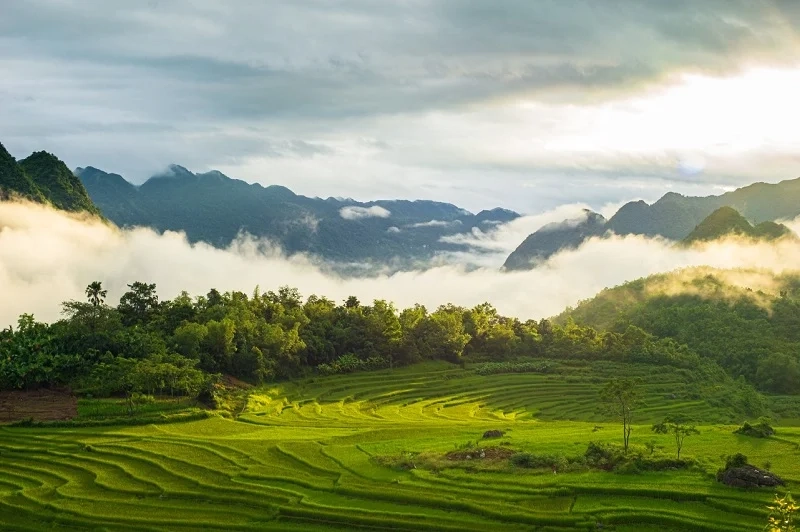 3D2N | Experience nature and culture in Pu Luong | Departing from Hanoi/Ninh Binh