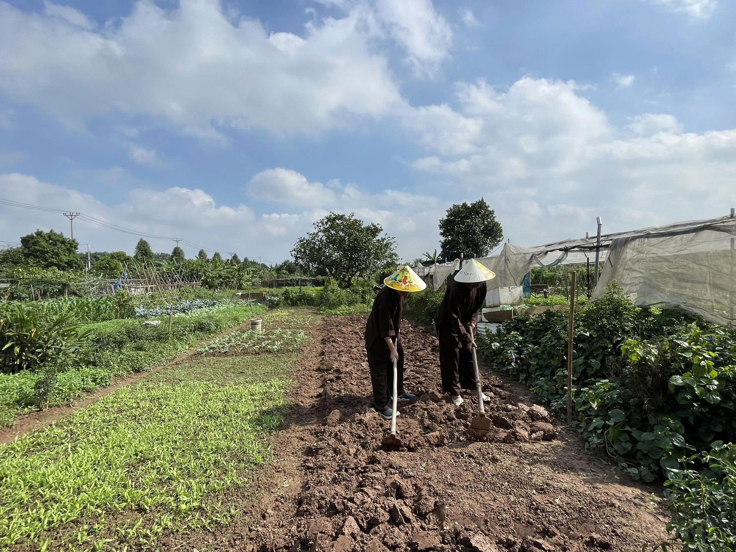 Day Tour | Farm Experience, Harvesting produce, and Cooking class | Hanoi