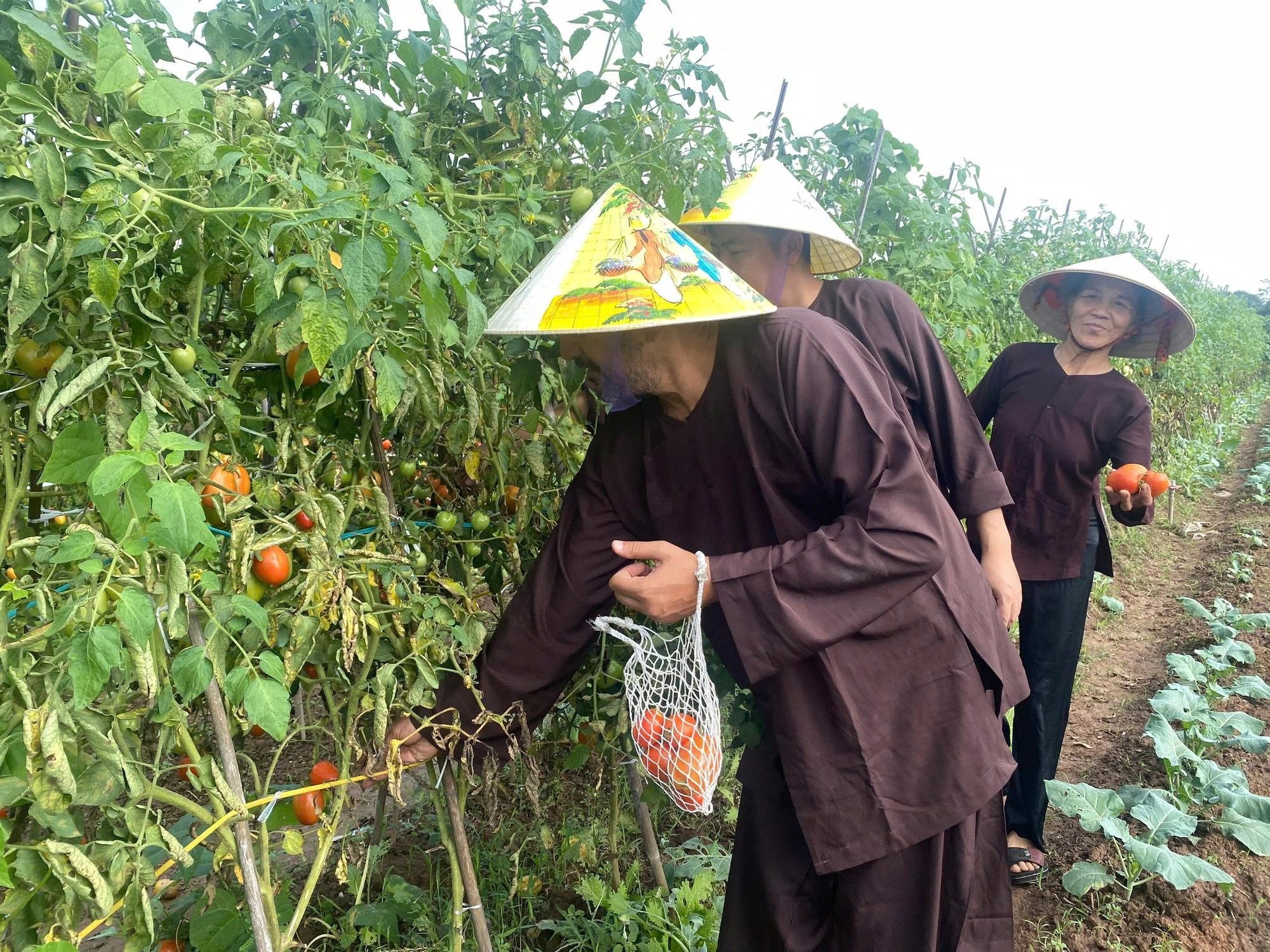 Day Tour | Farm Experience, Harvesting produce, and Cooking class | Hanoi