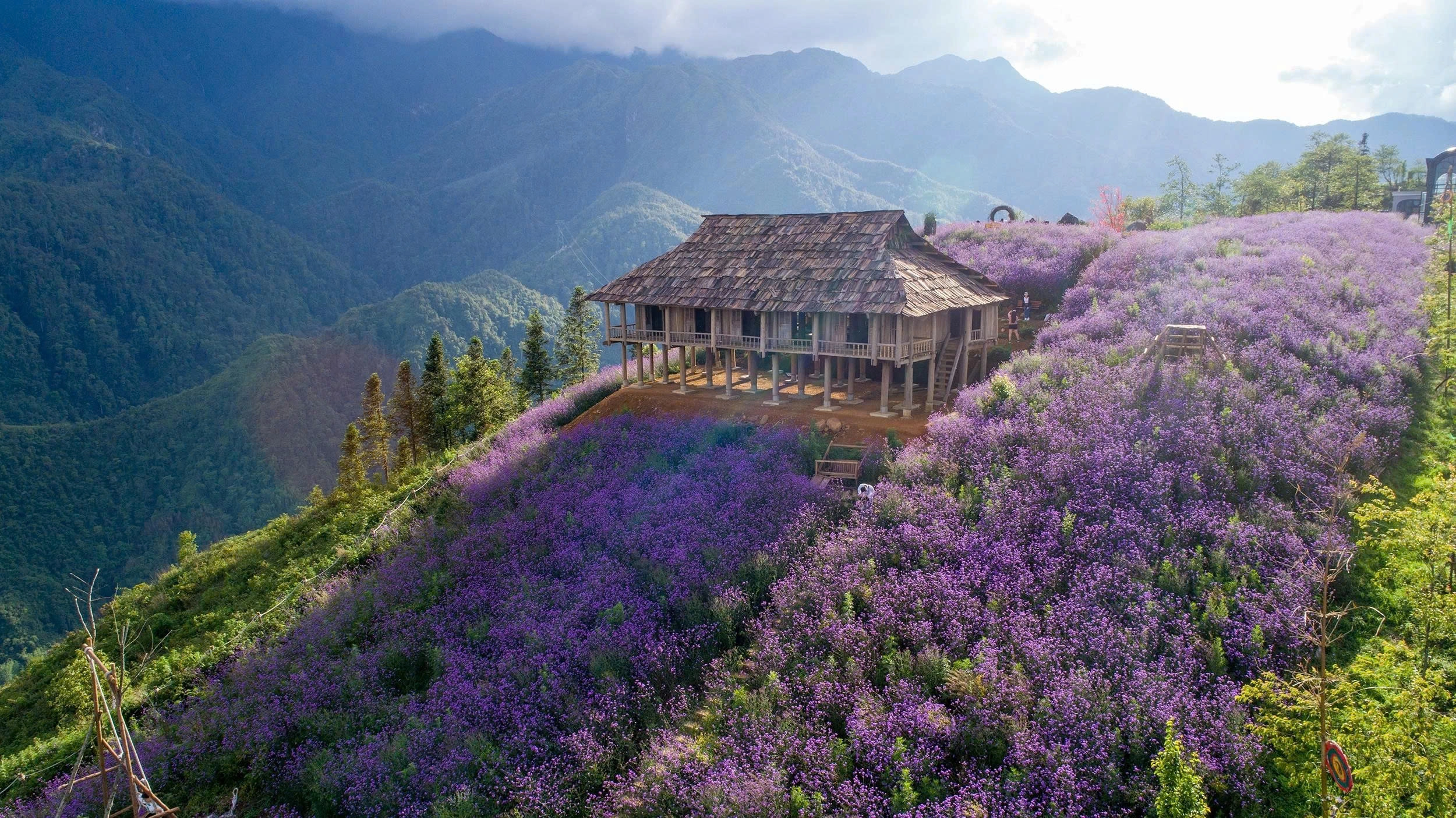 Day Tour | Full-day exploration of Sapa's highlights: Ham Rong - Moana | Depars from Sapa