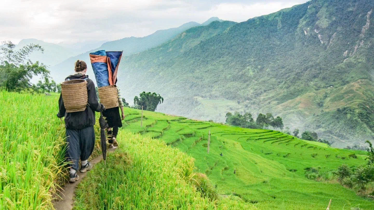 Day Tour | Full-day exploration of Sapa's highlights: Ham Rong - Moana | Depars from Sapa