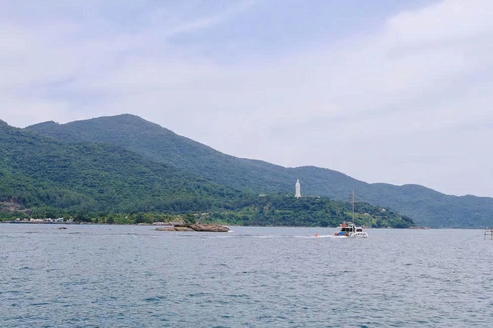 Day Tour | Son Tra Speedboat Cruise