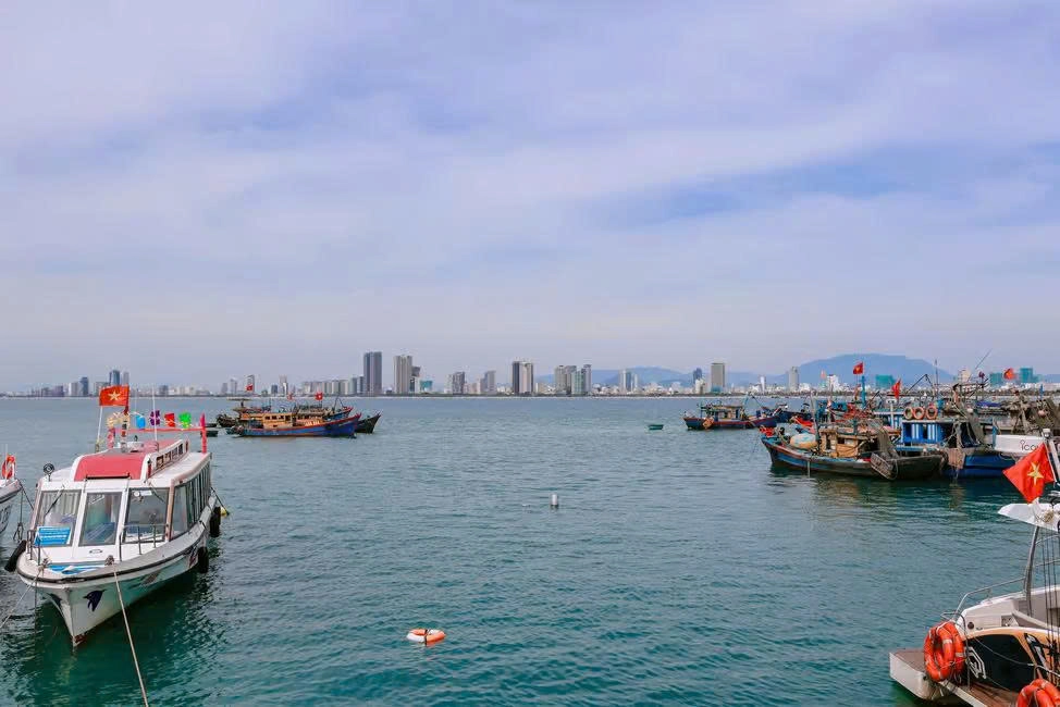 Day Tour | Son Tra Speedboat Cruise