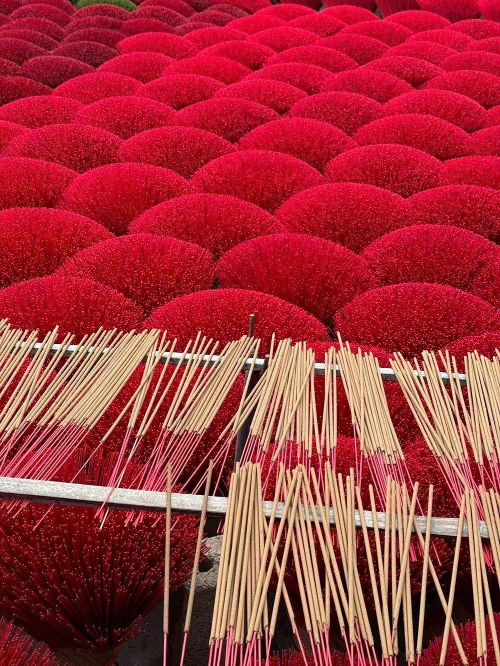 Day Tour | Explore Quang Phu Cau Incense Village and Thang Long Imperial Citadel | Hanoi