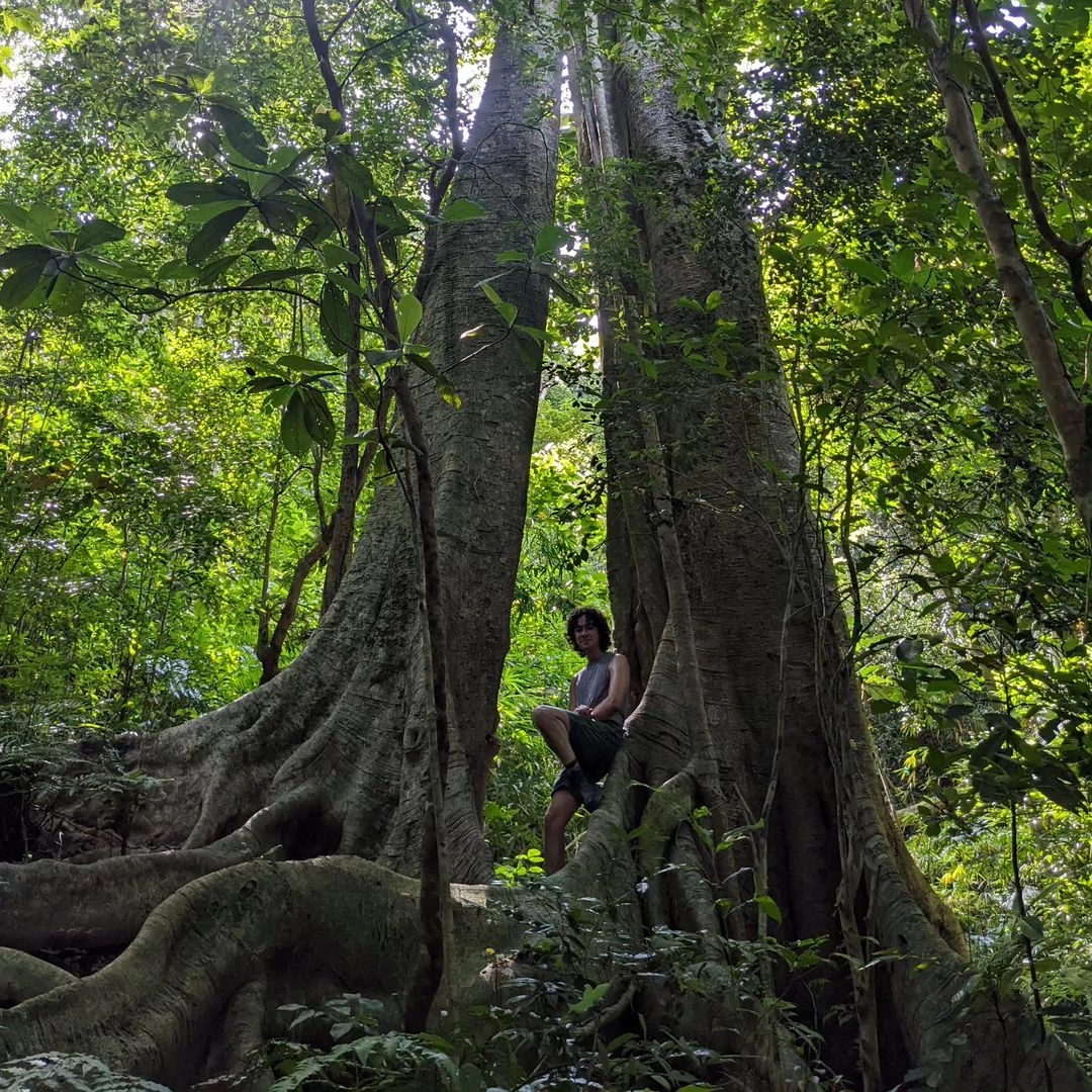 Day Tour | Trekking Experience to Explore Cat Ba National Park | Cat Ba