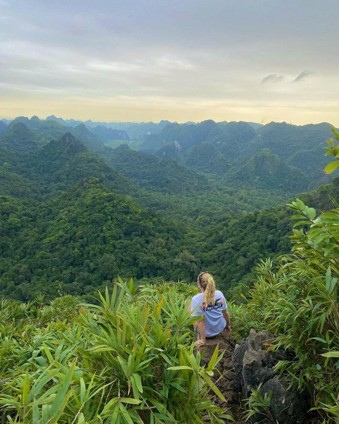 Day Tour | Trekking Experience to Explore Cat Ba National Park | Cat Ba