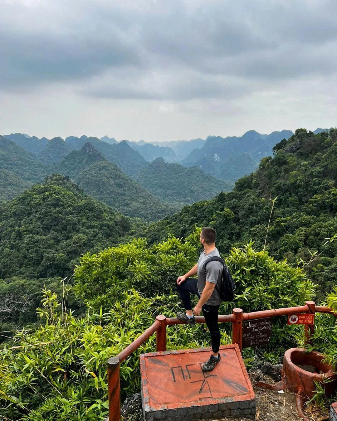 Day Tour | Trekking Experience to Explore Cat Ba National Park | Cat Ba