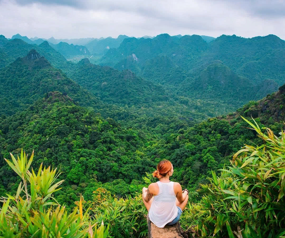 Day Tour | Trekking Experience to Explore Cat Ba National Park | Cat Ba