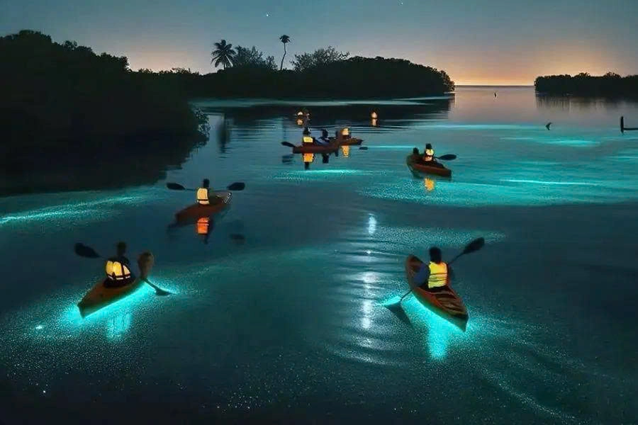Day Tour | Bioluminescent Kayaking and Sunset Experience in Lan Ha Bay with BBQ Dinner | Cat Ba