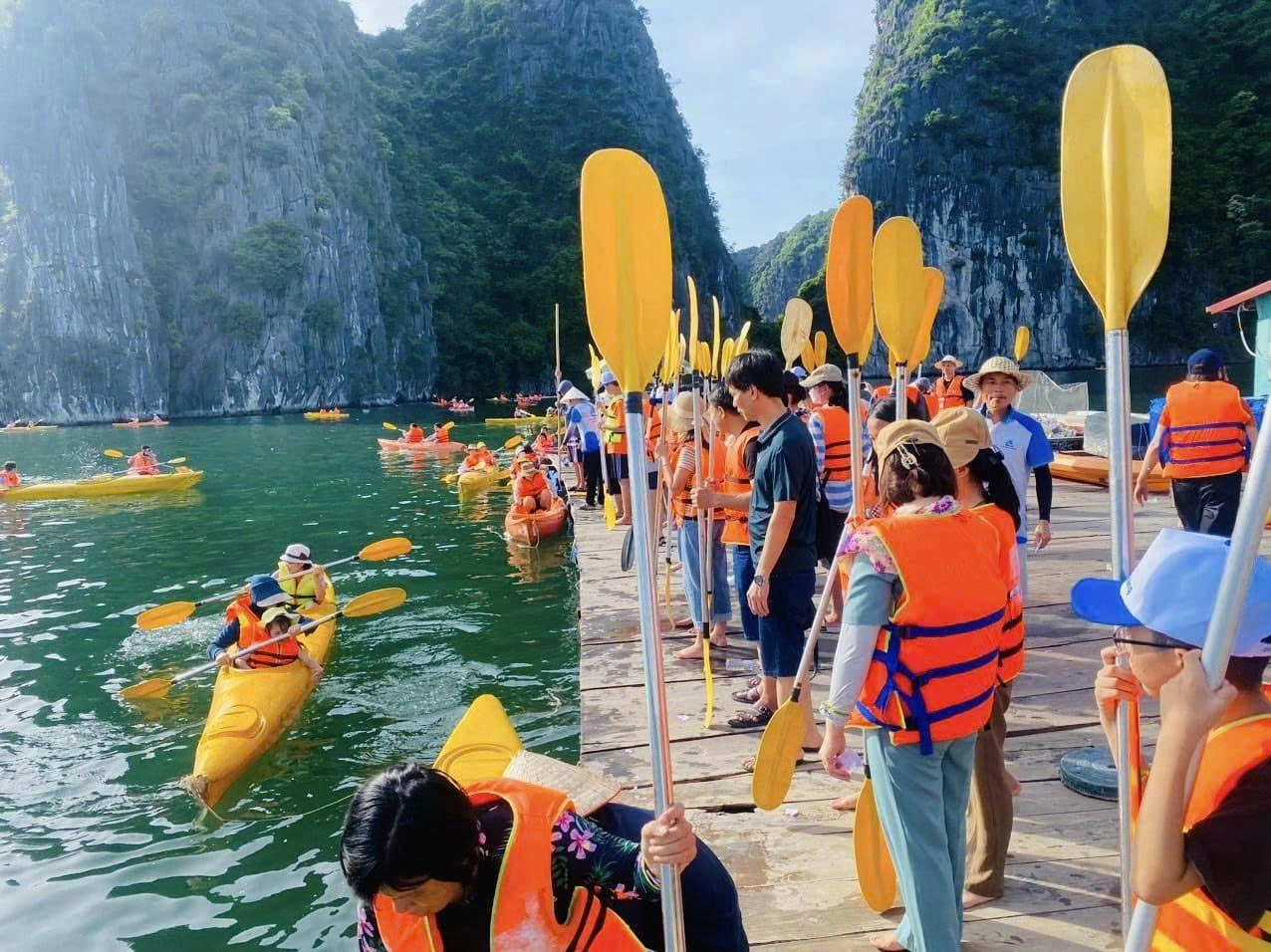 Day Tour | Trekking Experience to Explore Cat Ba National Park | Cat Ba