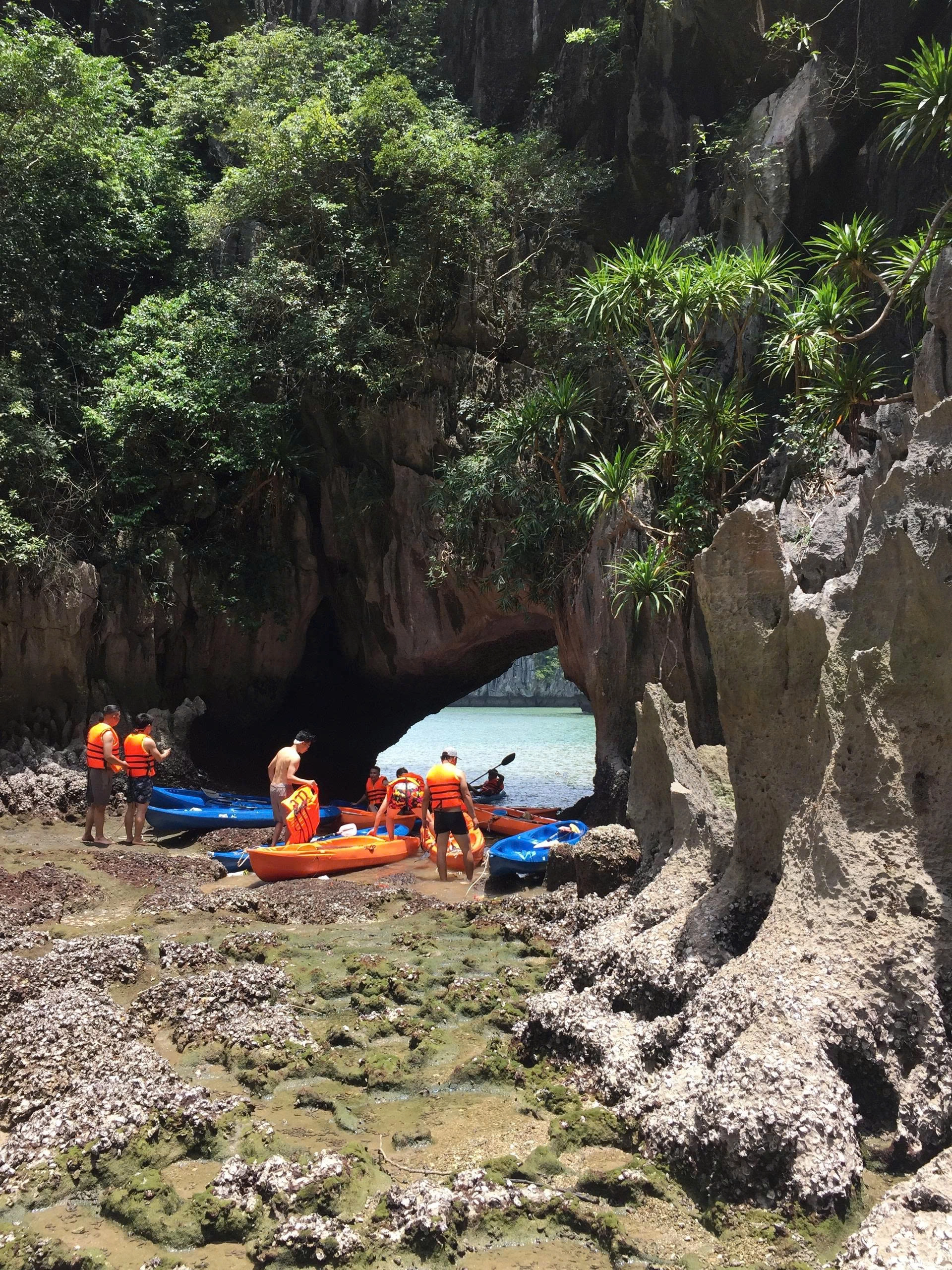 2D1N Tour | Explore Lan Ha Bay and Experience Sunset & Bioluminescent Kayaking | Cat Ba