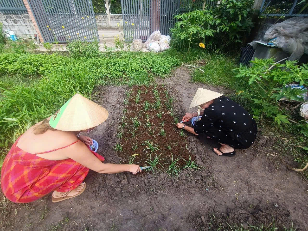 Day Tour |  Farm Visit, Cooking  Class and Explore Cu Chi Tunnels | Departure from Ho Chi Minh City