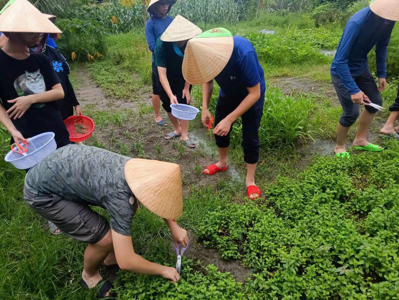 Day Tour |  Farm Visit, Cooking  Class and Explore Cu Chi Tunnels | Departure from Ho Chi Minh City