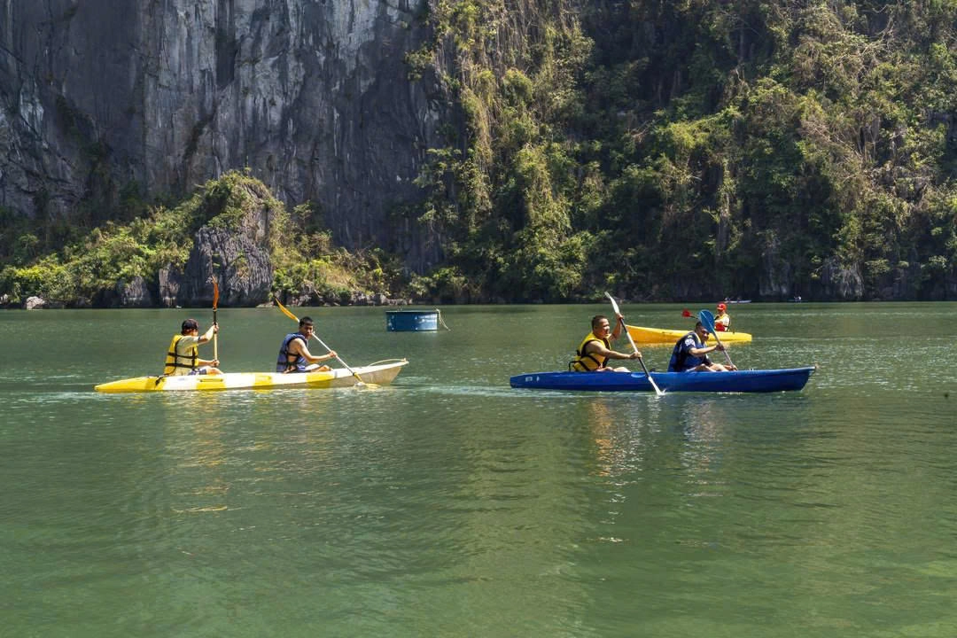 Day Tour | Explore Ha Long Bay and Enjoy a Premium Buffet Lunch with the 5-Star Leona Luxury Cruise | Ha Long
