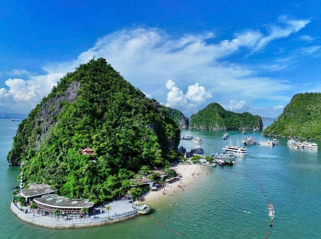 Day Tour | Explore Ha Long Bay and Enjoy a Premium Buffet Lunch with the 5-Star Leona Luxury Cruise | Ha Long