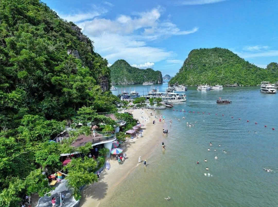 Day Tour | Explore Ha Long Bay and Enjoy a Premium Buffet Lunch with the 5-Star Leona Luxury Cruise | Ha Long