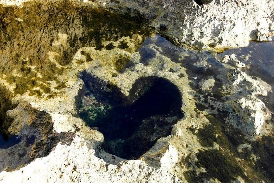 Day Tour | Vinh Hy – Rai Cave – Sheep Farm – Vineyard | Ninh Thuan