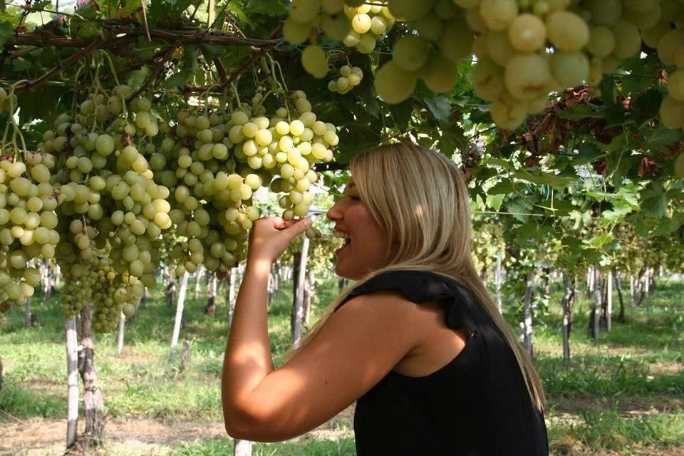 Day Tour | Vinh Hy – Rai Cave – Sheep Farm – Vineyard | Ninh Thuan