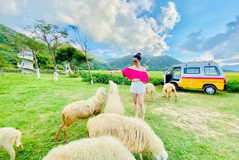 Day Tour | Sheep Farm - Po Klong Garai - Phan Rang Desert | Ninh Thuận