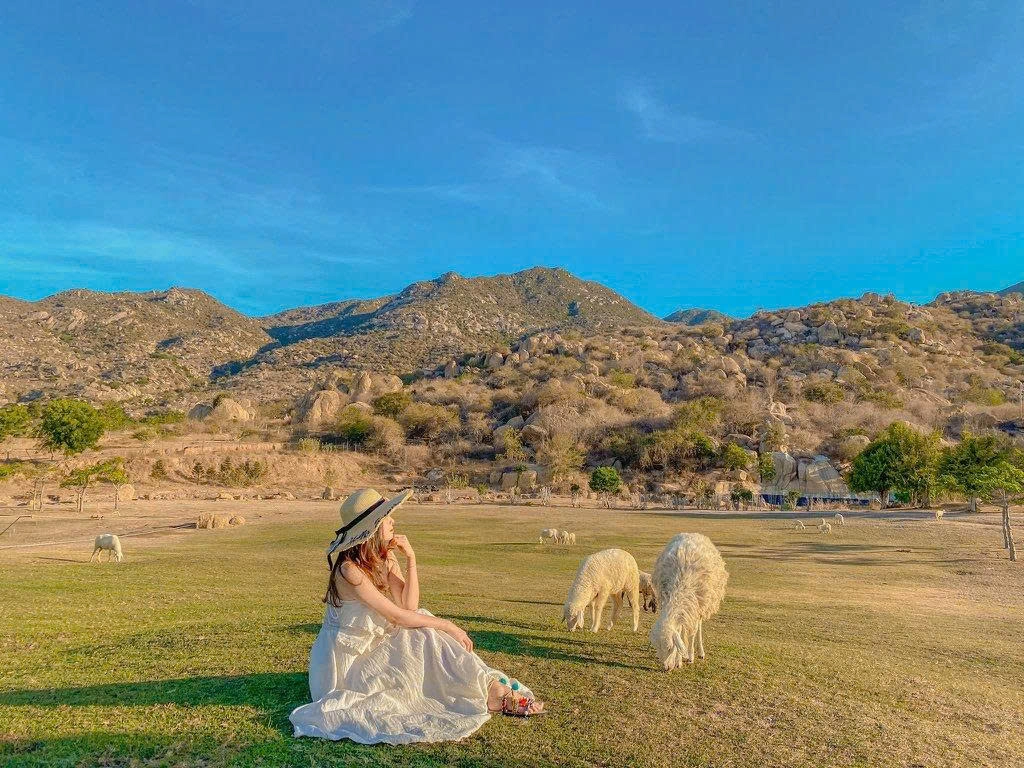 Day Tour | Sheep Farm - Po Klong Garai - Phan Rang Desert | Ninh Thuận