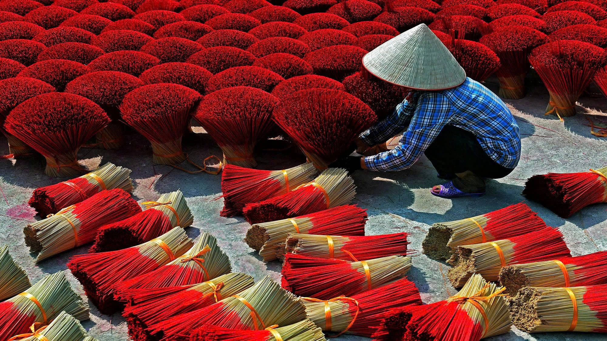 Day Tour | Explore Quang Phu Cau Incense Village and Train Street combined with Traditional Lunch | Hanoi