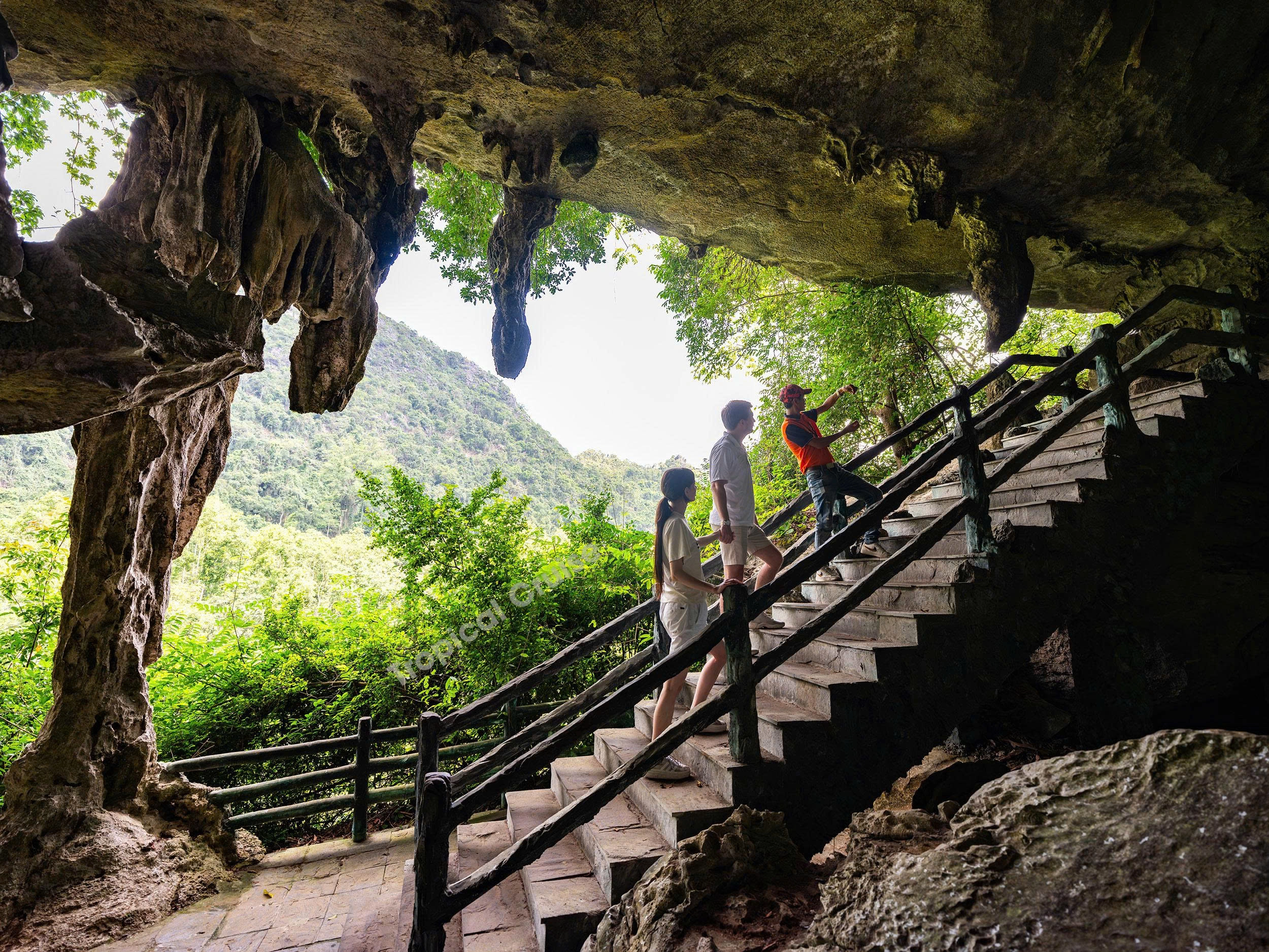 Day Tour | Explore Lan Ha Bay aboard the 5-Star Tropical Cruise | Hai Phong