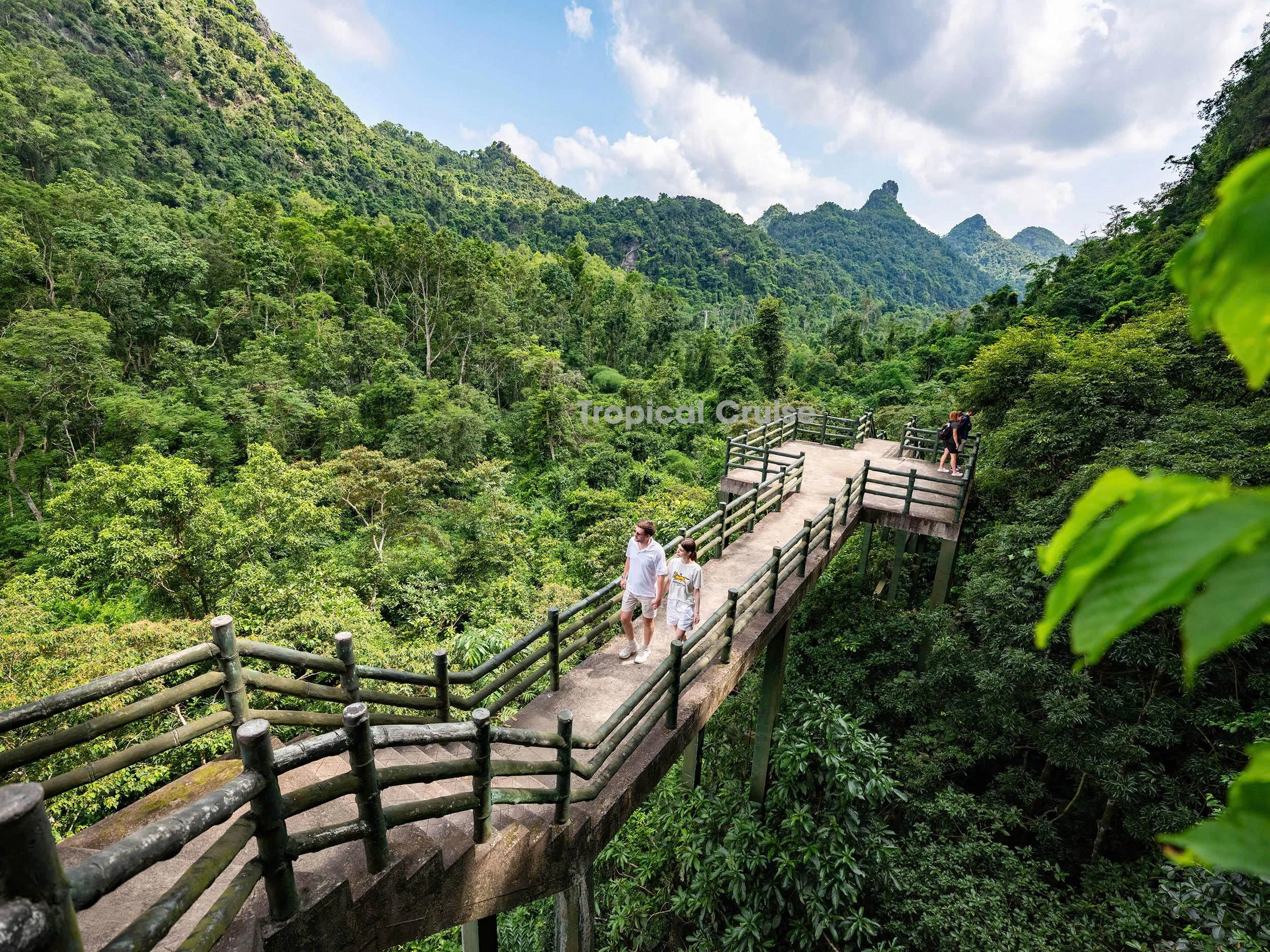 Day Tour | Explore Lan Ha Bay aboard the 5-Star Tropical Cruise | Hai Phong