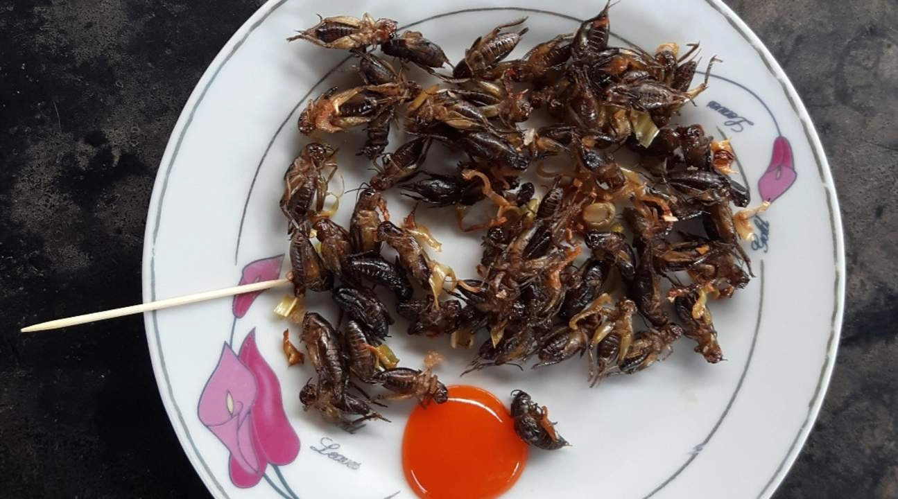 Day Tour | Discover Da Lat's 3 Major Waterfalls