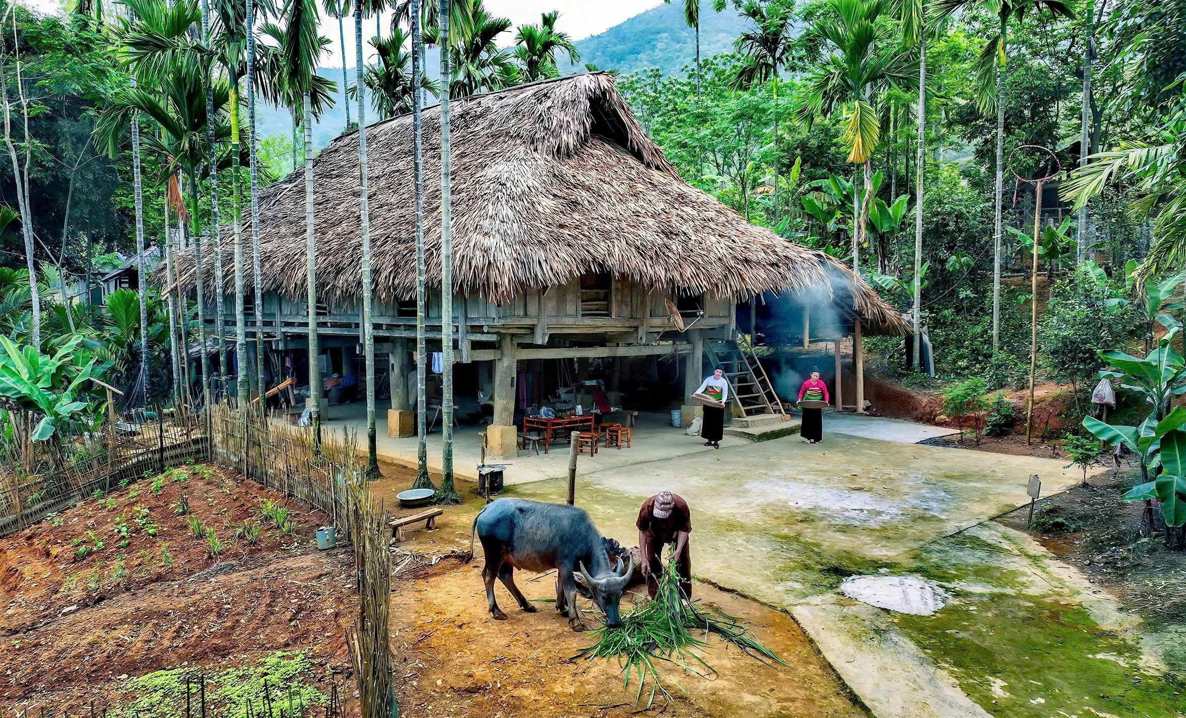 Day Tour | Discover the Beauty of Pu Luong | Thanh Hoa