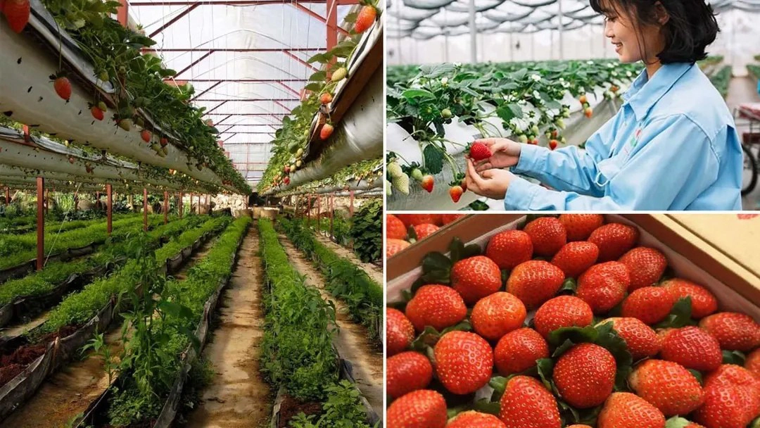 Day Tour | Discover Da Lat city by motorbike with Easy Rider