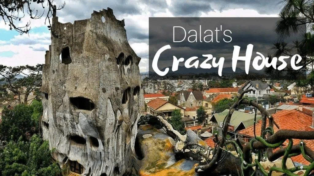 Day Tour | Discover Da Lat city by motorbike with Easy Rider