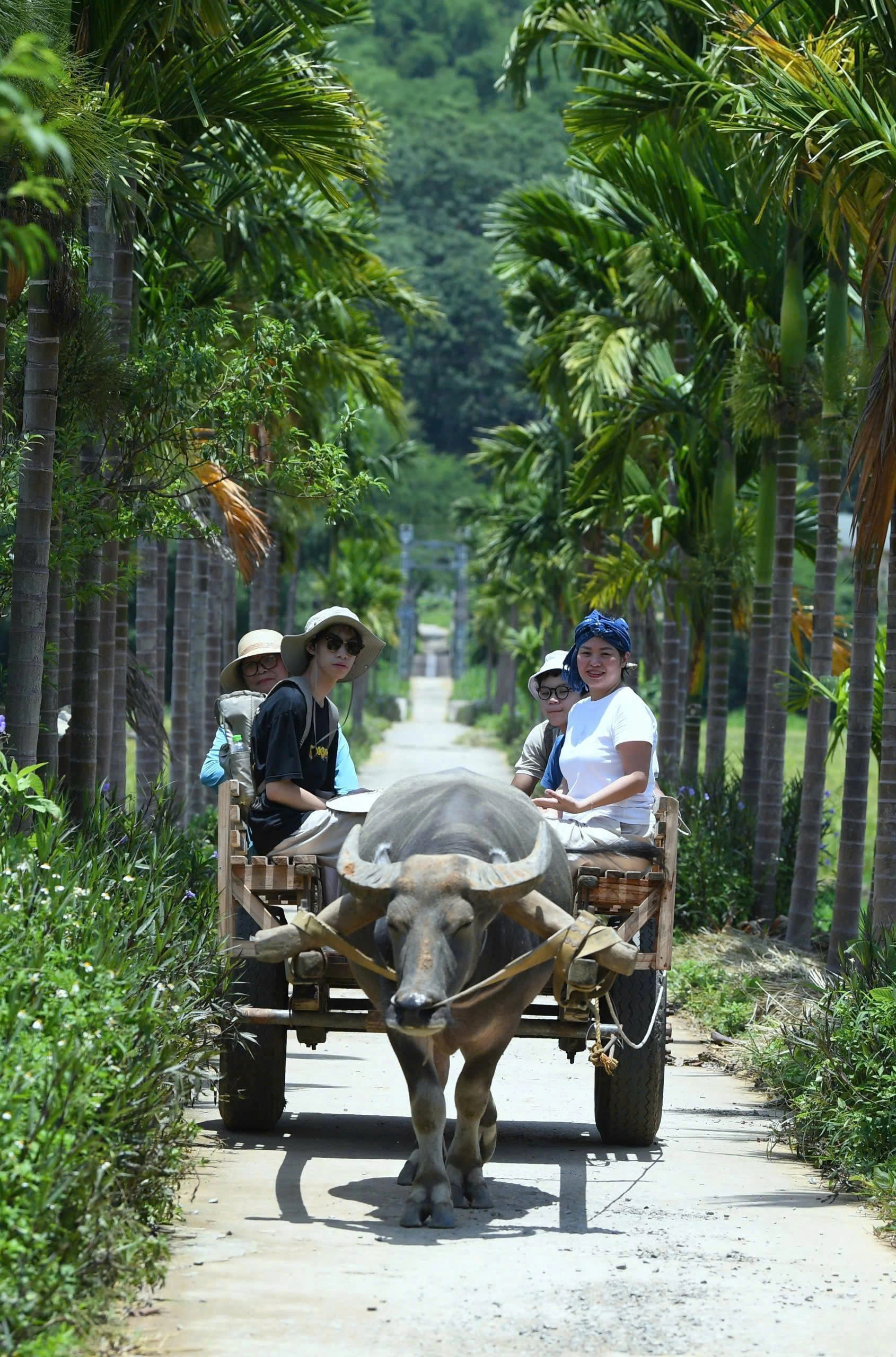 2D1N Tour | Explore the Beauty of Pu Luong | Thanh Hoa