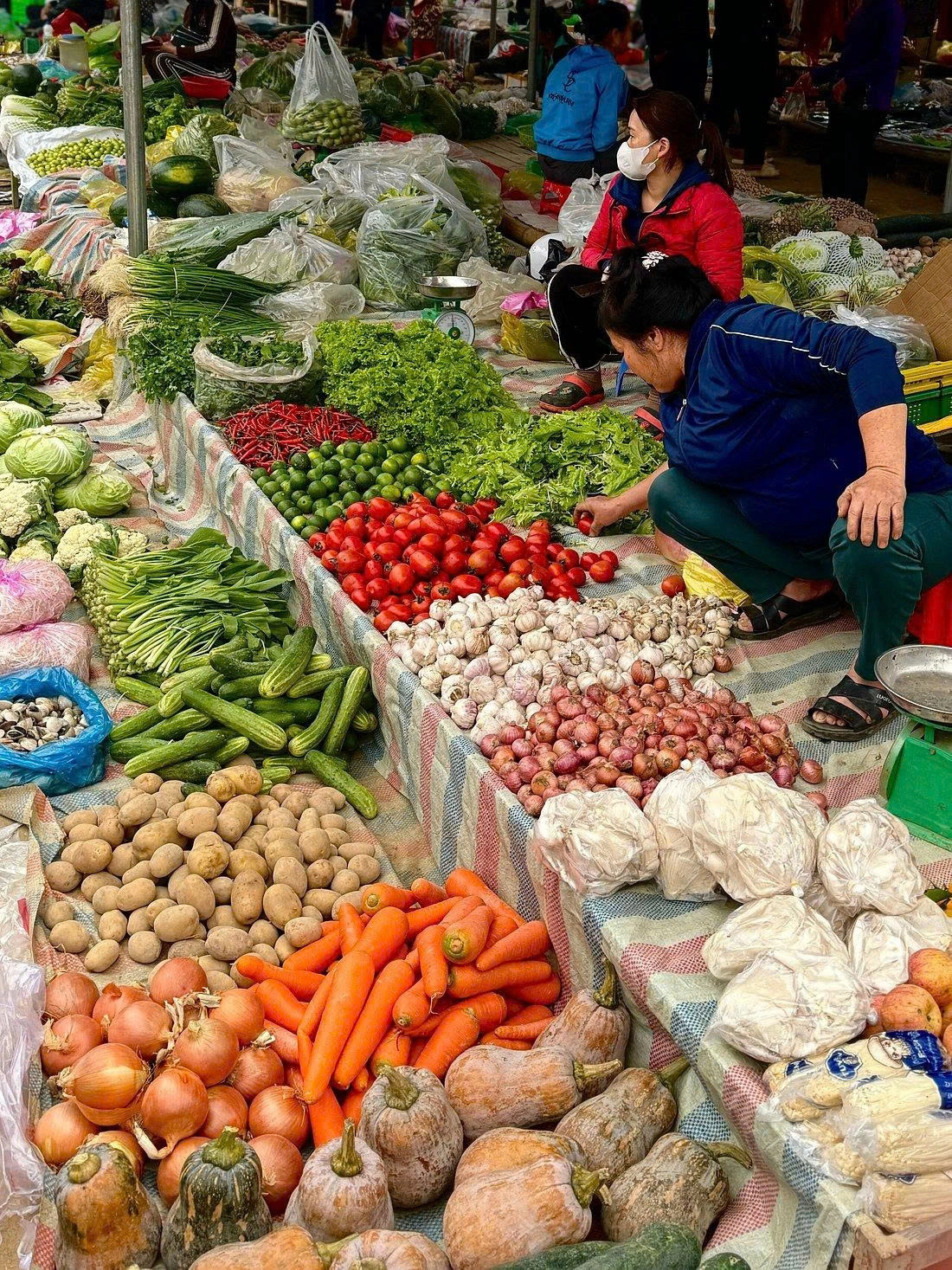 3D2N Tour | Discover the Beauty of Pu Luong with Local Cooking Class Experience | Thanh Hoa