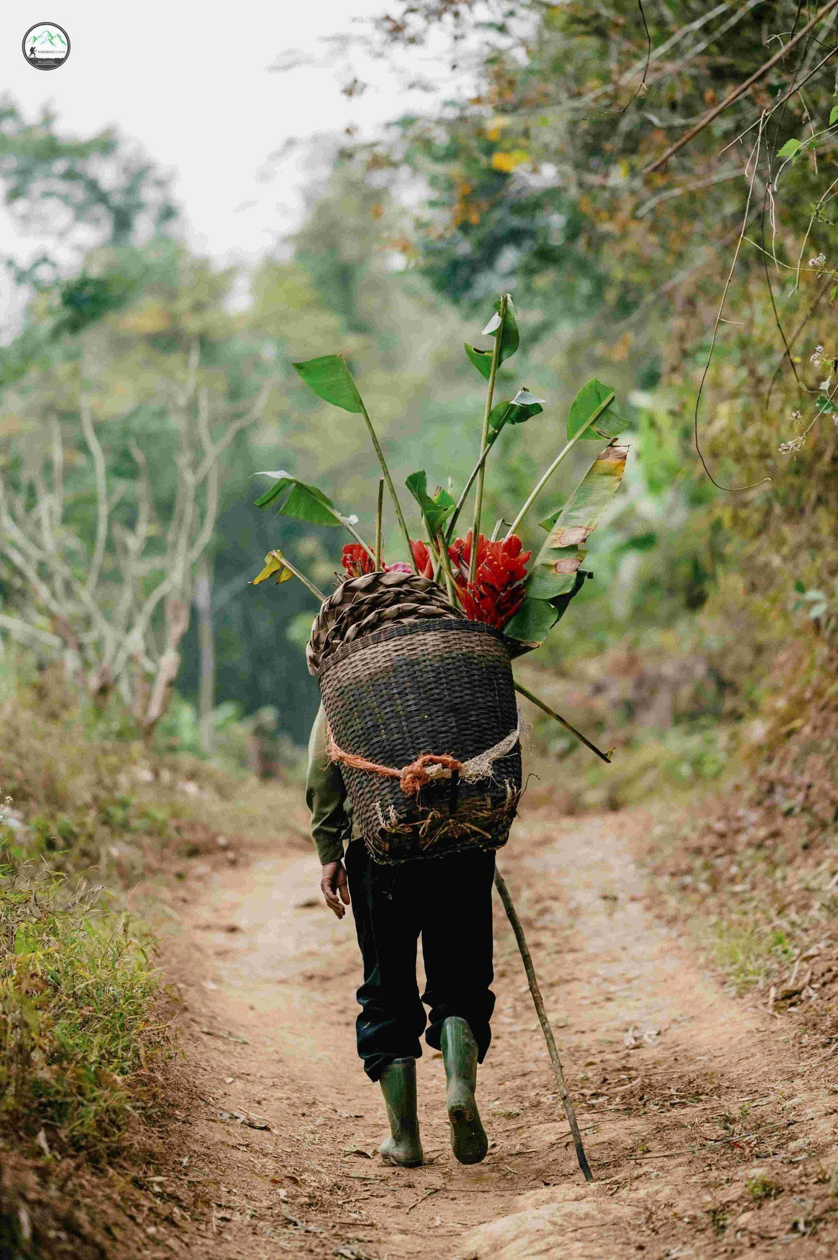 3D2N Tour | Discover the Beauty of Pu Luong with Local Cooking Class Experience | Thanh Hoa