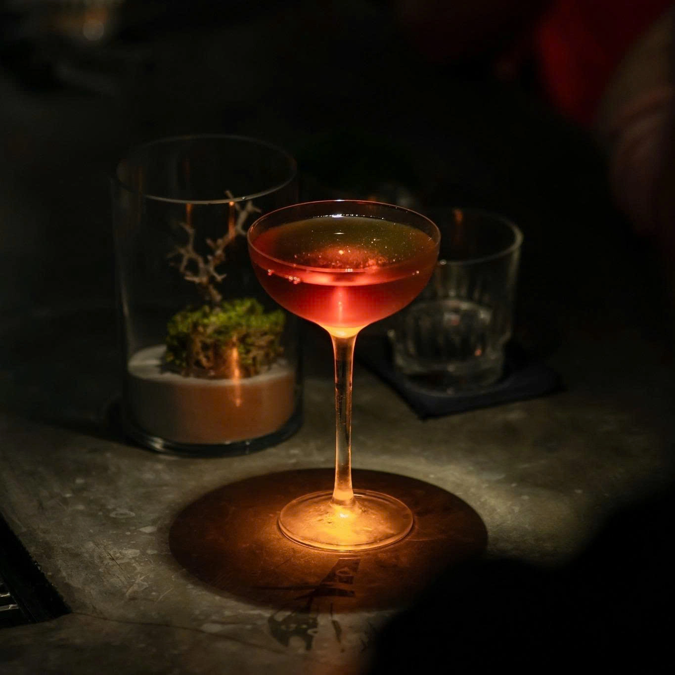 Day Tour | Nightlife tour with Hidden Bar in Nha Trang | Nha Trang