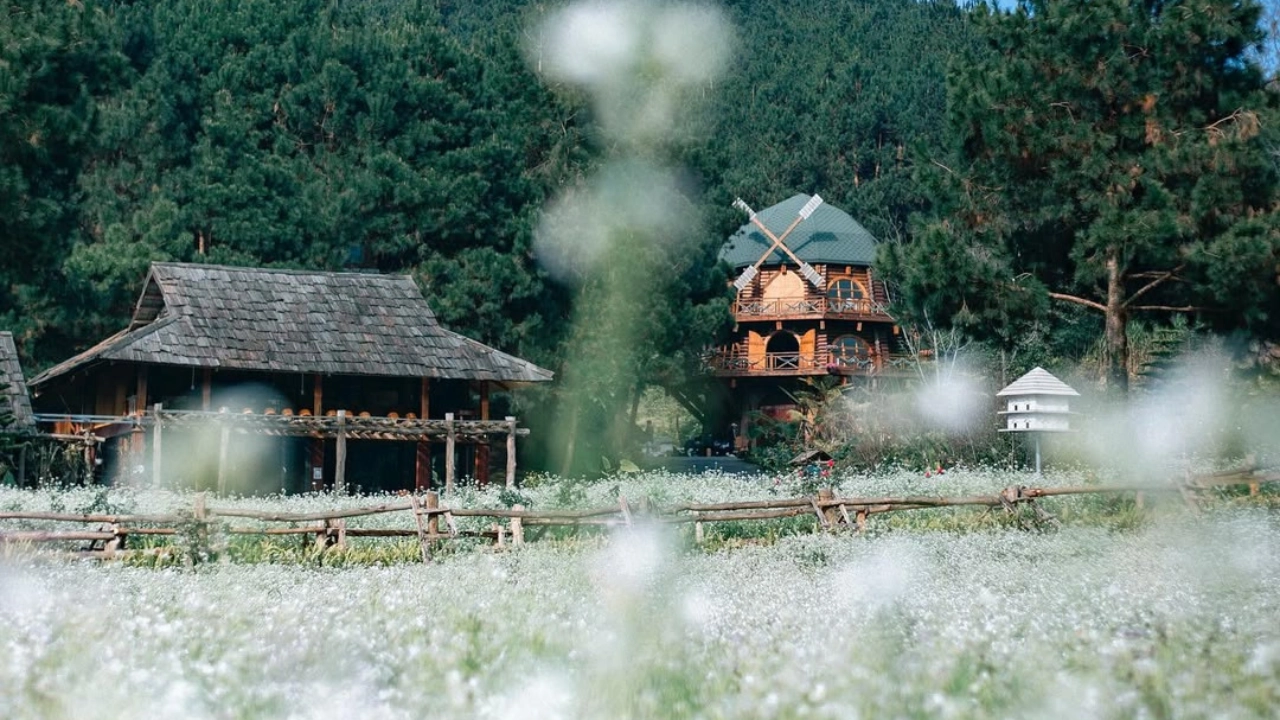 Mai Chau Valley Day Trip (Countryside & Ethnic Culture)