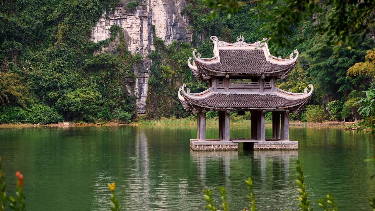 Culinary Adventures: Dining Like a Local