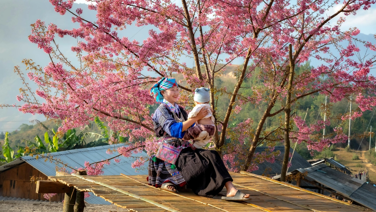 How to Book a Tour Sapa Fansipan