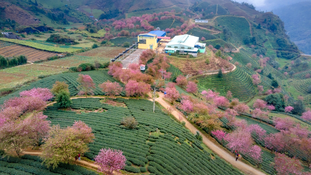 Essential Travel Tips for Your Trip to Sapa