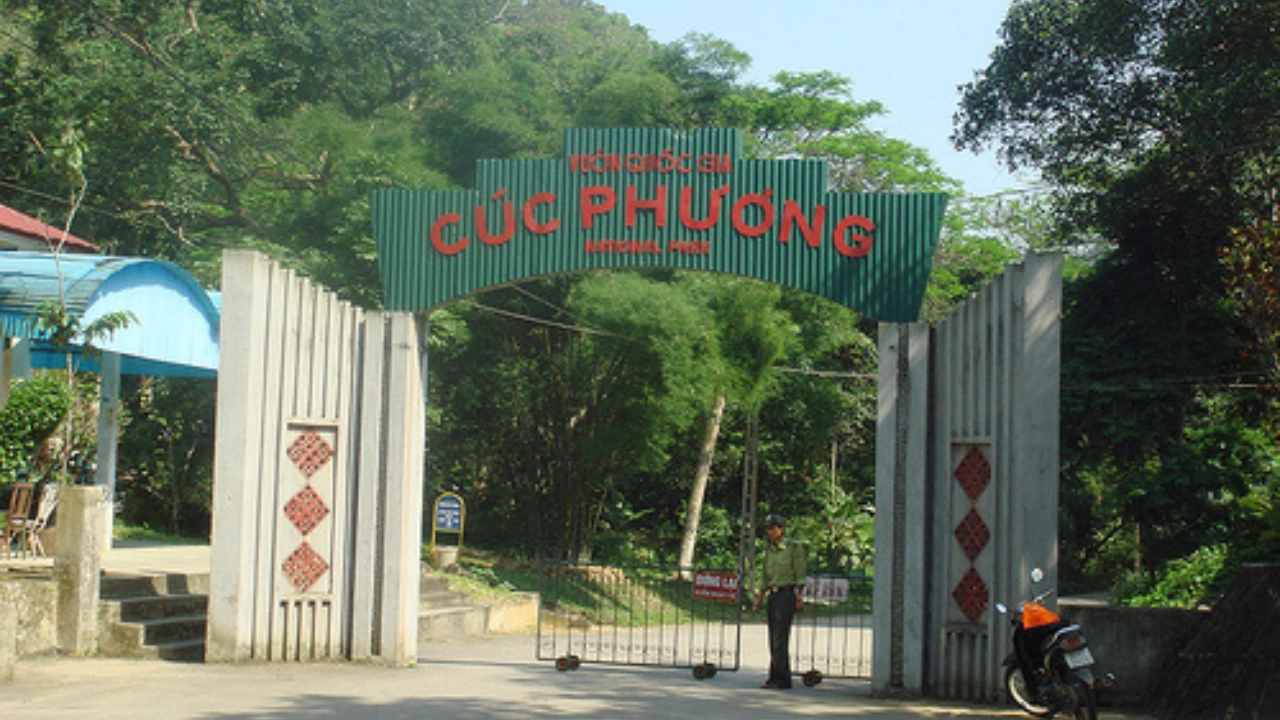 Exploring the biodiversity of Cuc Phuong National Park