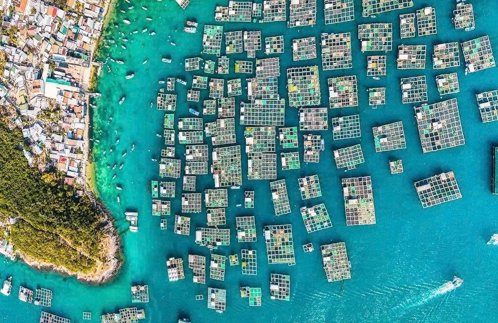 Day Tour | Tour 3 Islands VIP (Bai Tranh – Fishing Village – Hon Tam)