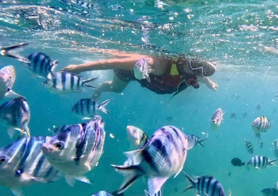 一日游 | 3 Islands Tour (Hon Mun – 渔村 – 小沙滩)