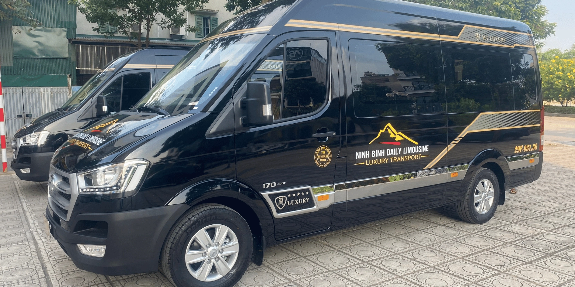 Top experiences and transport provided by Joytime