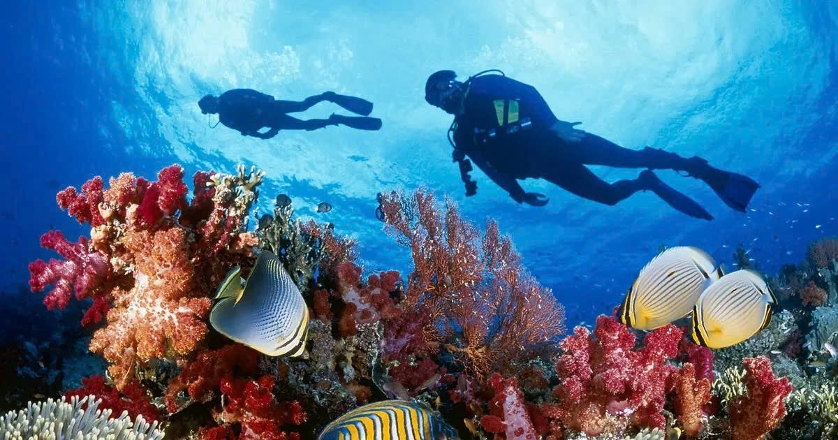 Day Tour | Nha Trang Scuba Diving Experience (1 Dive Included)