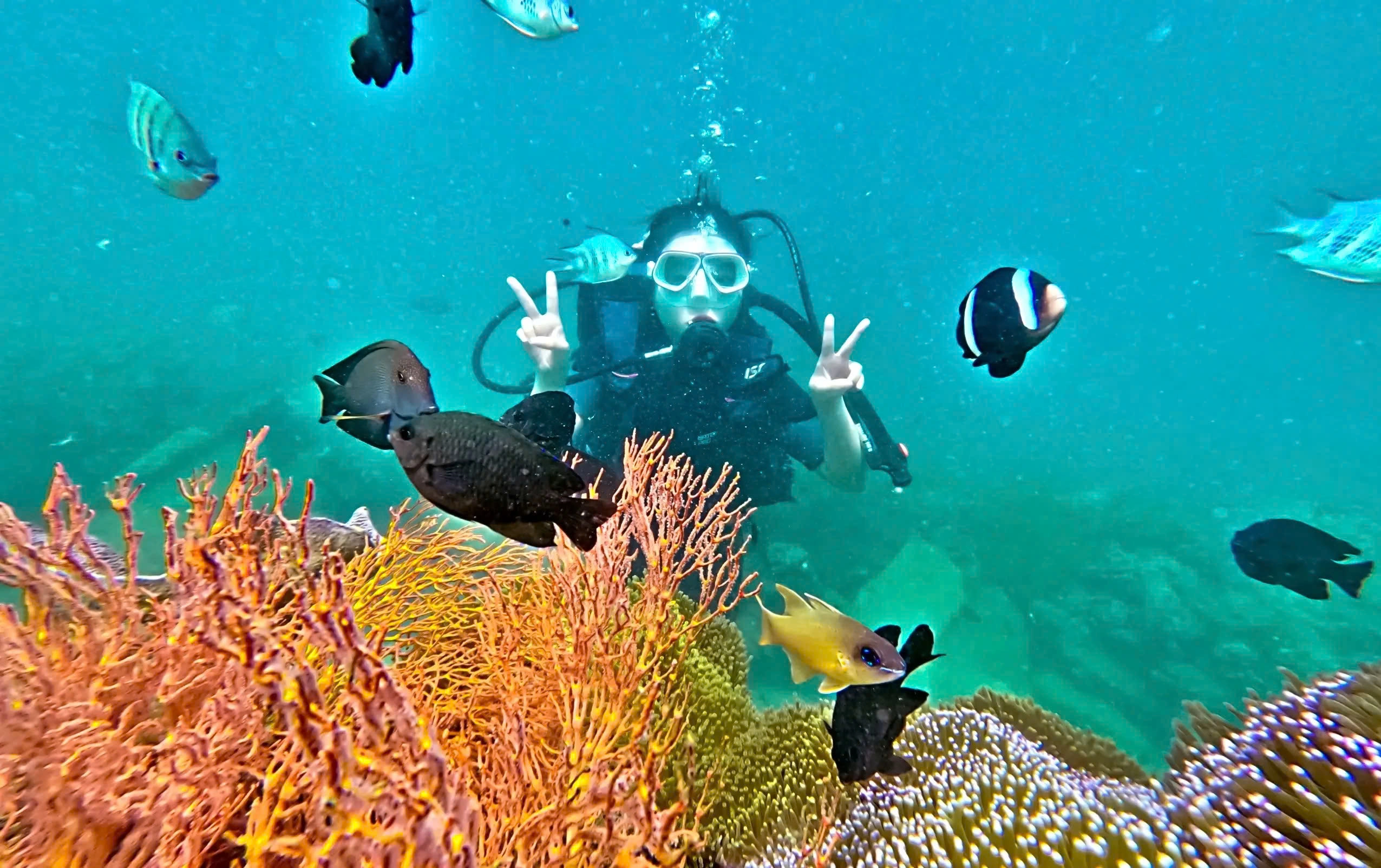 Day Tour | Nha Trang Scuba Diving Experience (1 Dive Included)