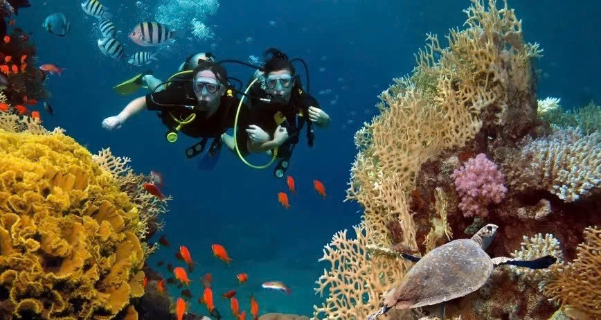 Day Tour | 3 Islands Diving Tour (Bai Tranh – Fishing Village – Bai Soi)
