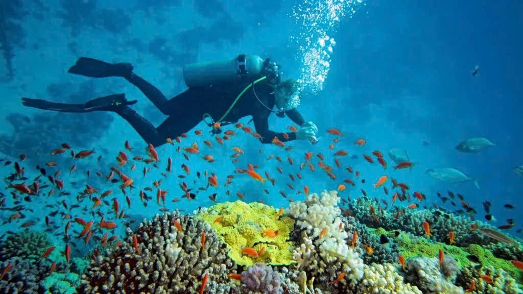 Day Tour | 3 Islands Diving Tour (Bai Tranh – Fishing Village – Bai Soi)